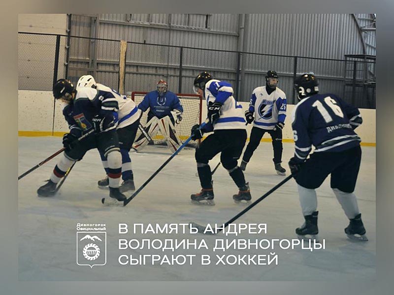 IV городской турнир по хоккею с шайбой.