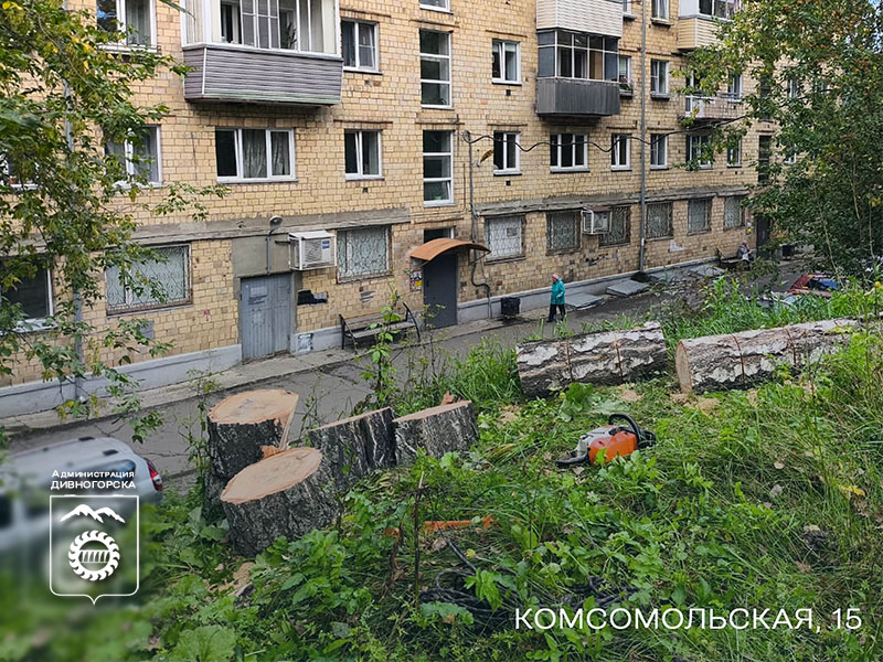 Продолжаем покос и вырубку опасных деревьев.