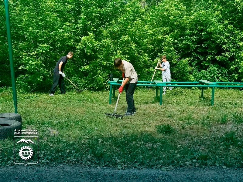 Трудовые отряды старшеклассников.