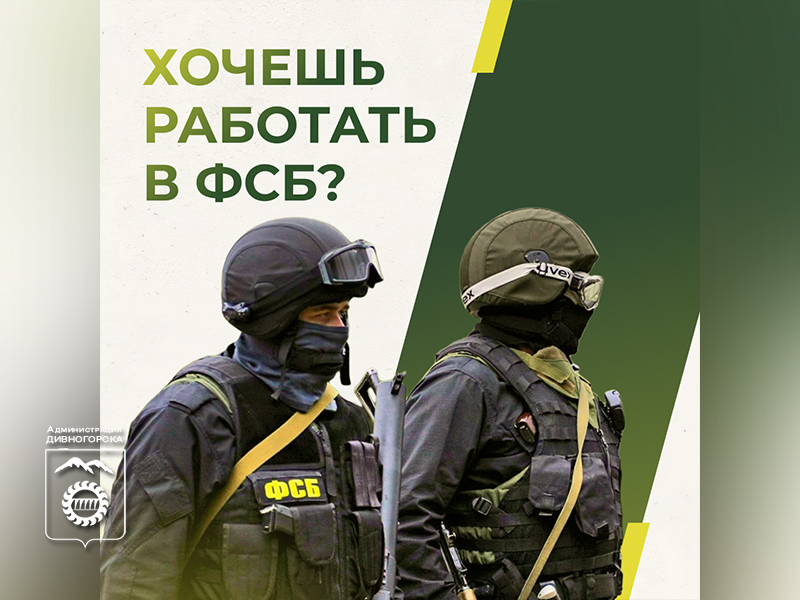 Серьезная профессия, государственная служба.