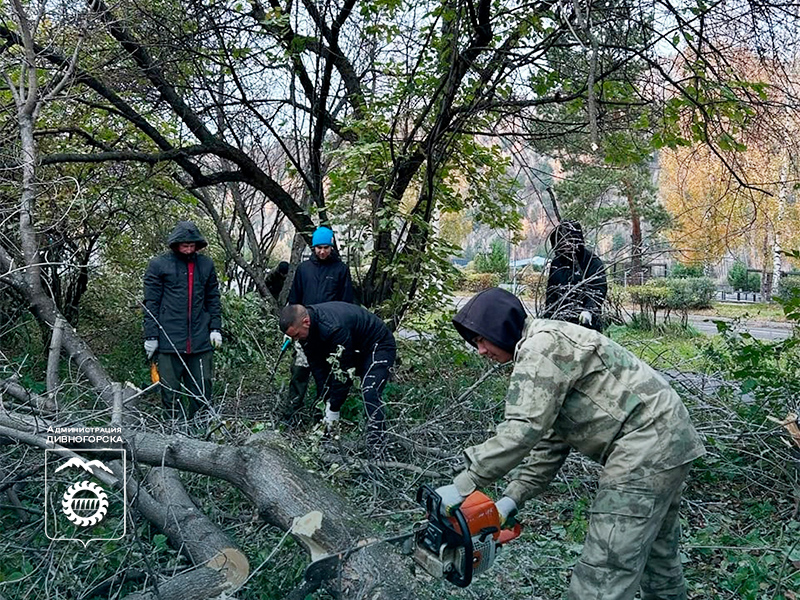 Студенты техникума лесных технологий зачистили разросшиеся зеленые насаждения.
