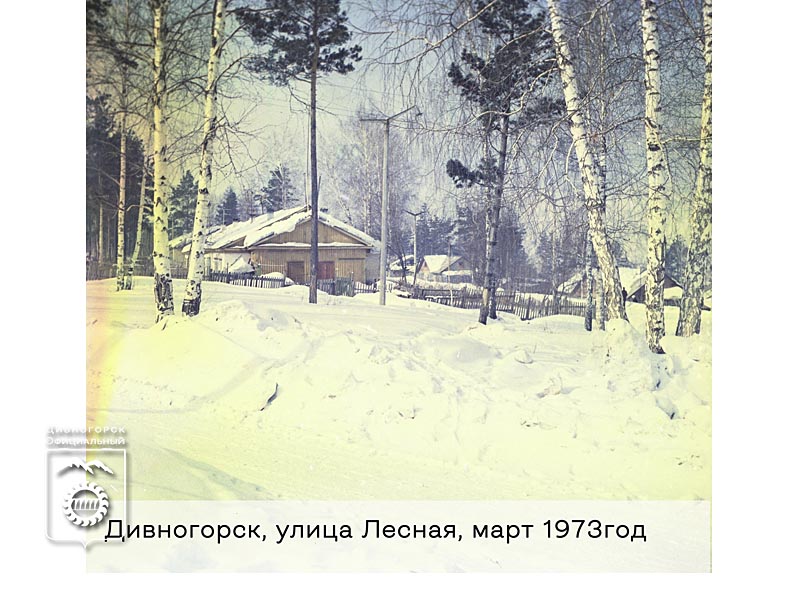 Две улицы в Дивногорске названы в честь друзей юности.