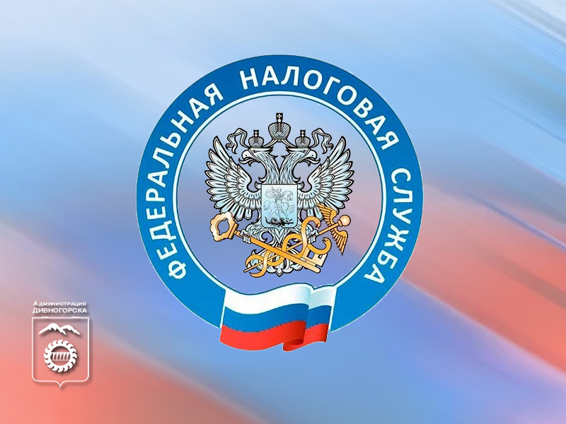 Дни  открытых дверей в налоговой.