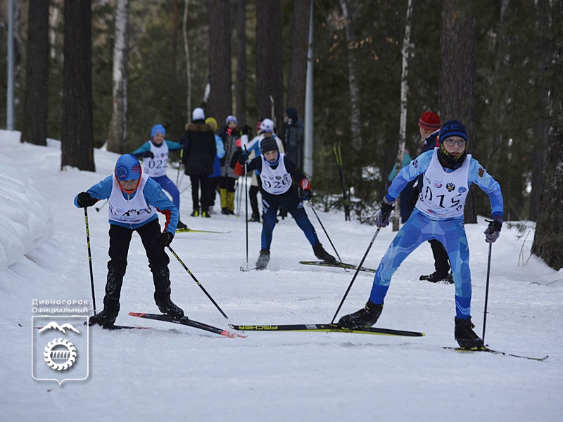 В Дивногорске пройдет 16-й краевой турнир по лыжным гонкам имени Алены Сидько.