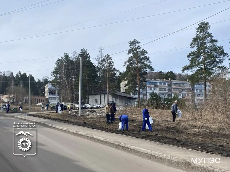 На субботнике.